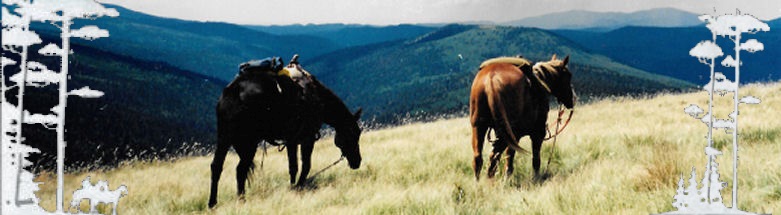 Los Pinos Guest Ranch Trail Riding in Pecos Wilderness